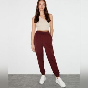 Levi's Burgundy Jogger Pants with Zipper Detail.